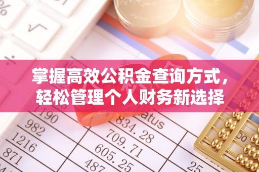 揭东掌握高效公积金查询方式，轻松管理个人财务新选择