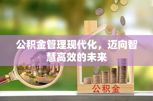 揭东公积金管理现代化，迈向智慧高效的未来