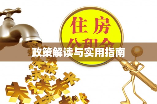 揭东政策解读与实用指南