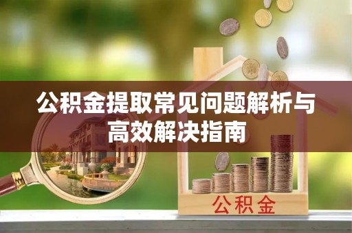 揭东公积金提取常见问题解析与高效解决指南